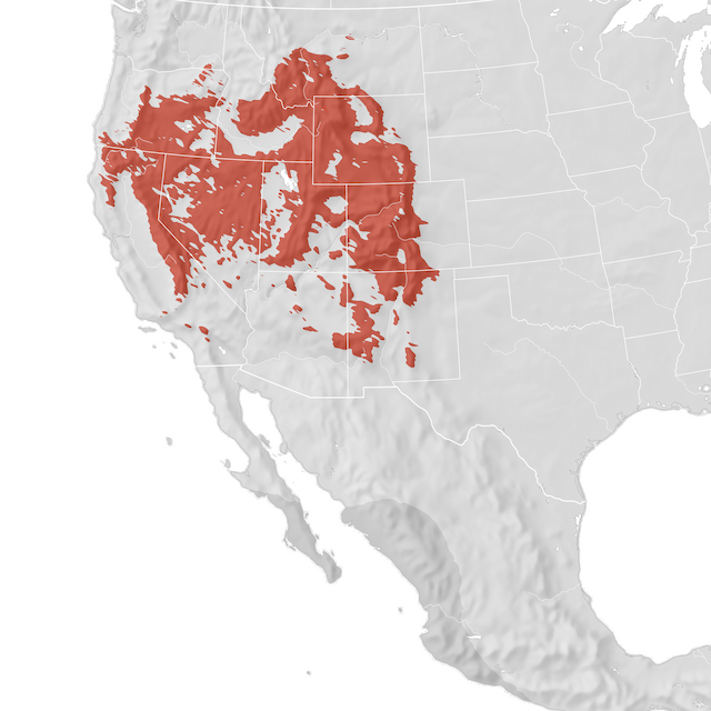 Range Map