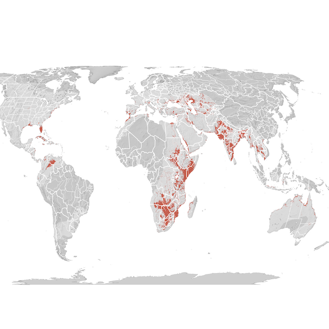 Carte de distribution