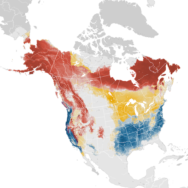 Mapa de abundancia