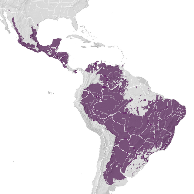 Mapa de Distribuição