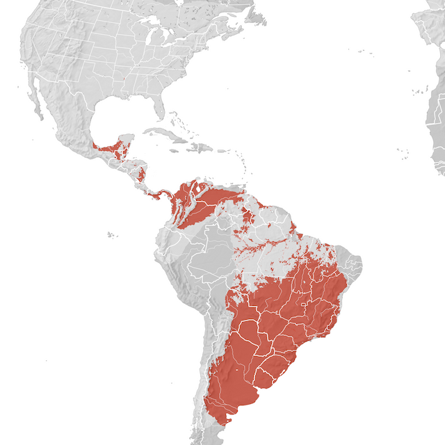 Mapa de distribuição