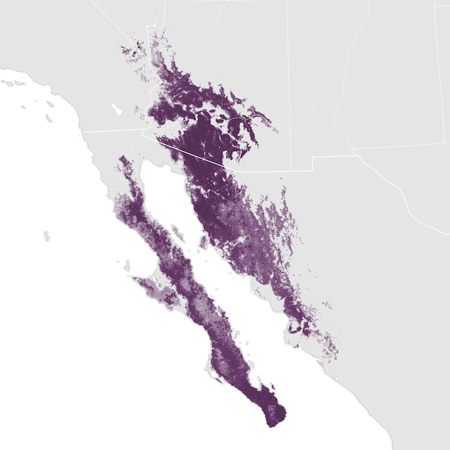 Mapa de abundancia