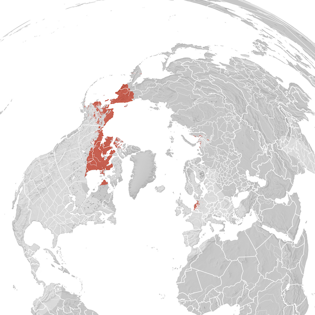 Mappa di distribuzione