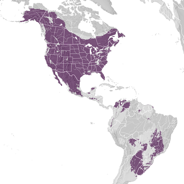 Mapa de distribuição