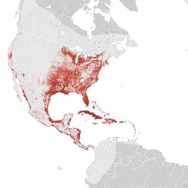 Mapa de Abundância