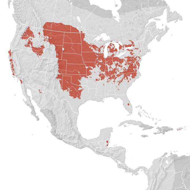 Carte de distribution