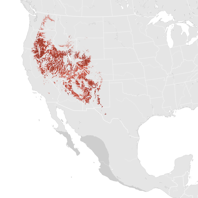 Abundance Map