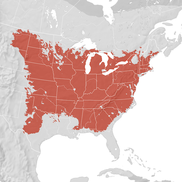 Carte de distribution