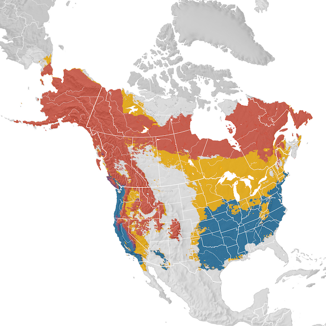 Mappa di distribuzione