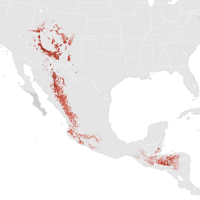 Mapa de abundancia