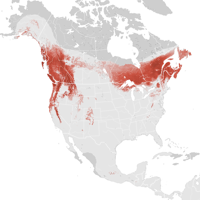 Mapa de abundancia