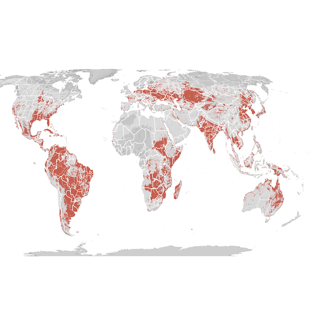 Mapa de Distribuição