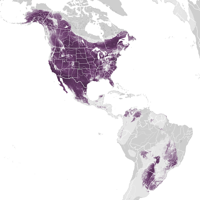 Abundance Map