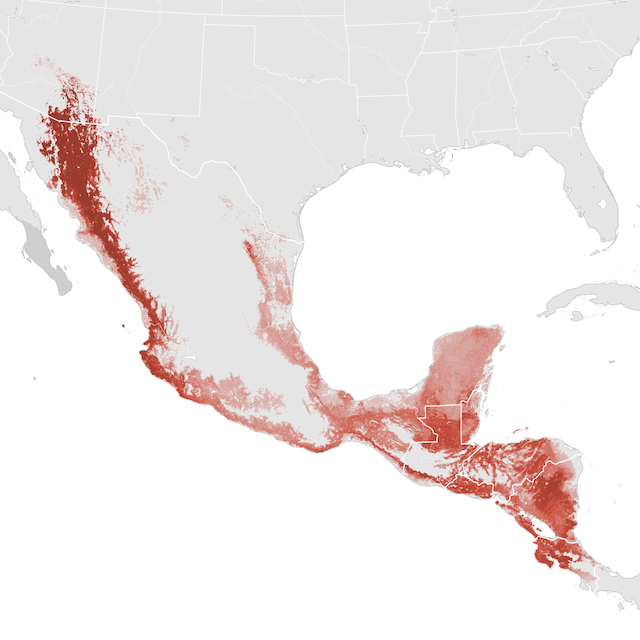 Abundance Map