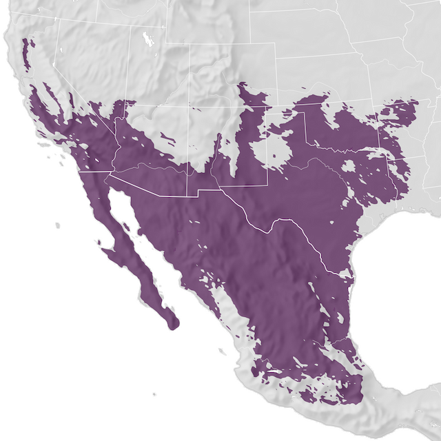 Mapa de distribuição