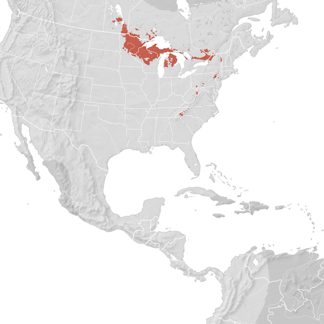 Mapa de distribuição