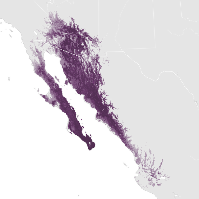 Mapa de abundancia