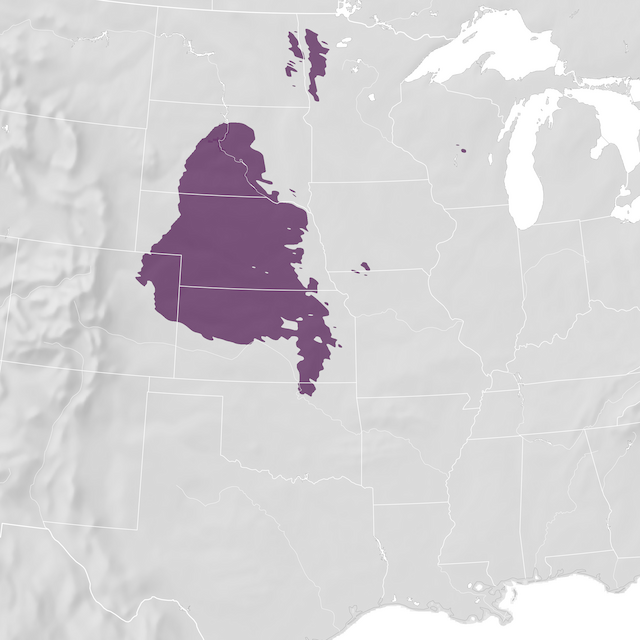 Mapa de Distribuição