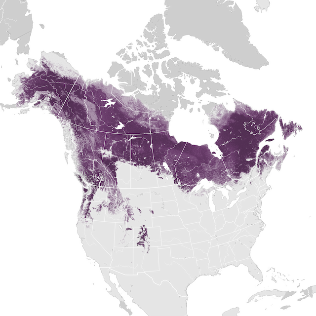 Abundance Map