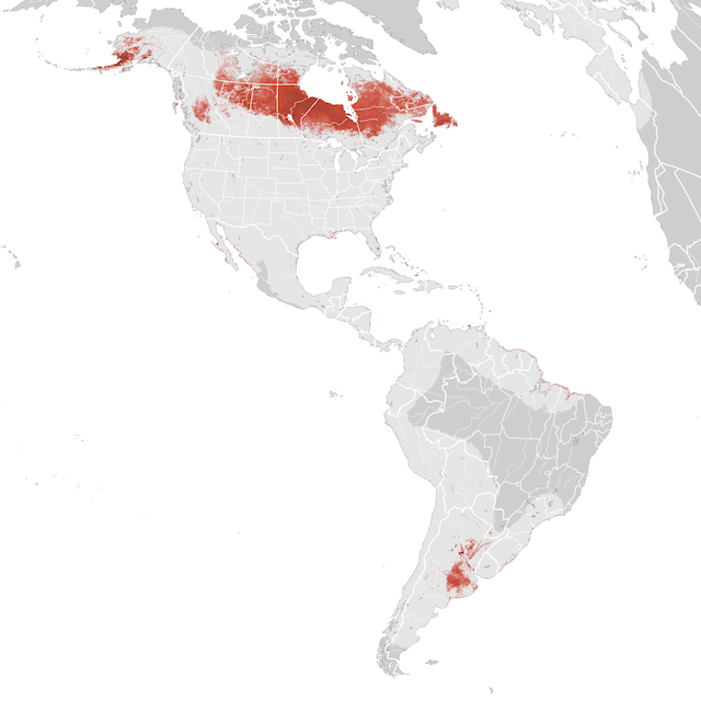 Mapa abundance