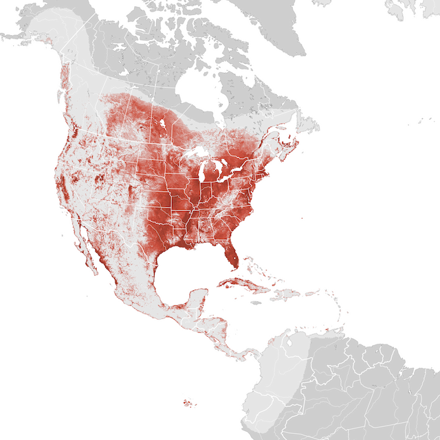 Ugaritasun mapa