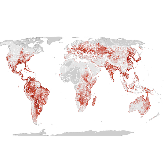 Mapa abundance