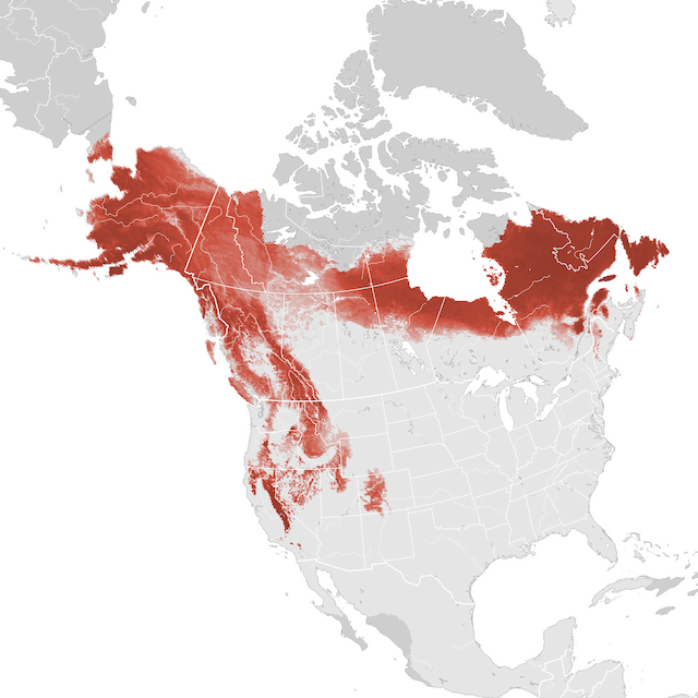 Mapa de abundancia