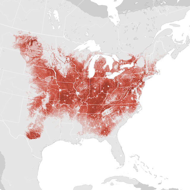 Abundance Map