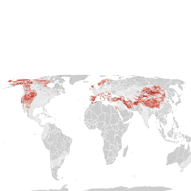 Abundance Map