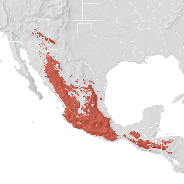 Mapa de Distribuição