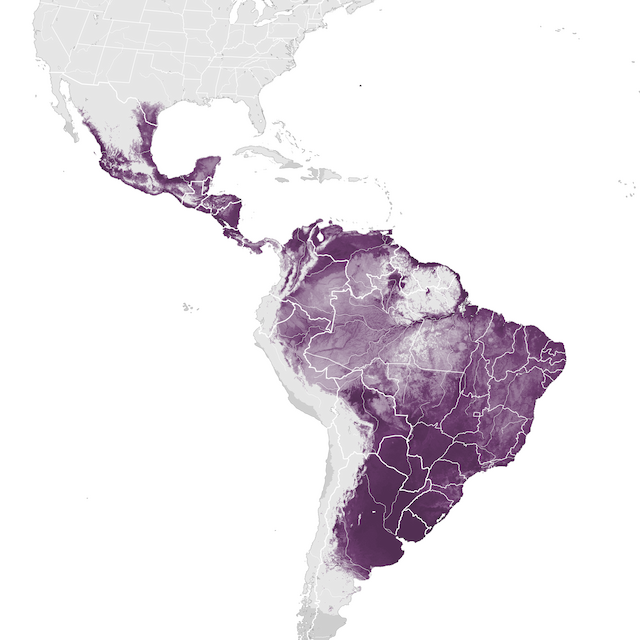 Abundance Map