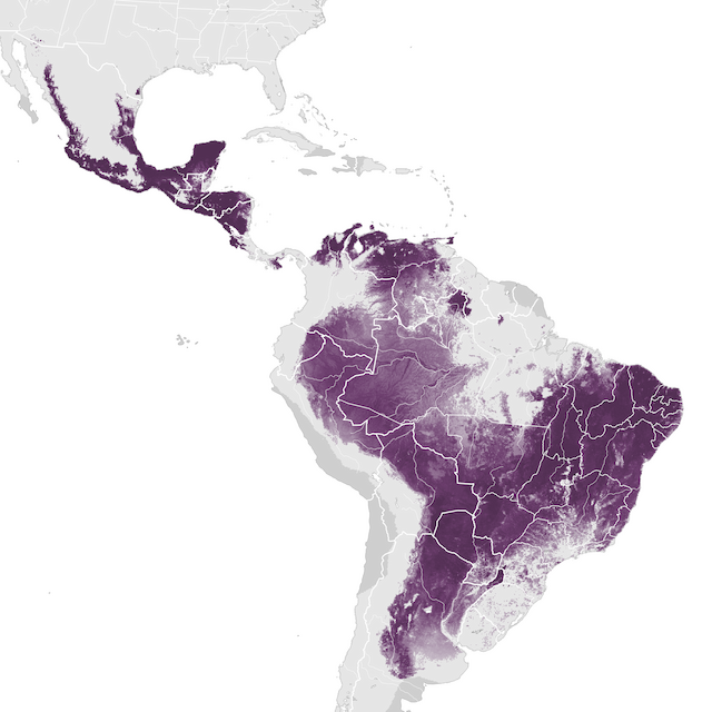 Mapa de abundancia