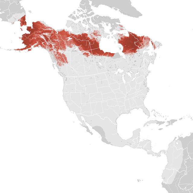 Mapa de abundancia