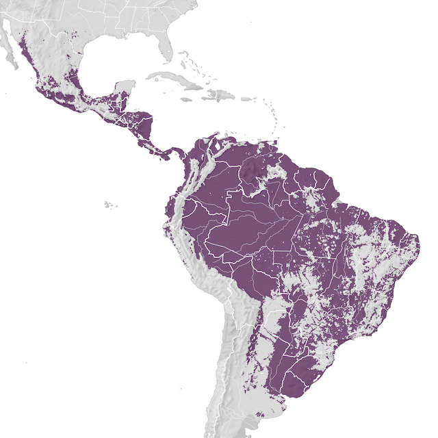 Mapa de distribuição