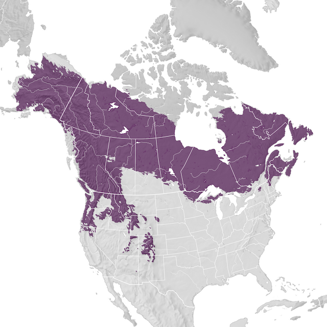 Carte de distribution