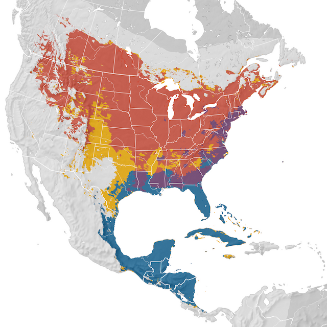 Mapa de rango