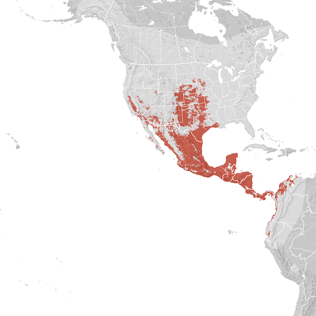 Mappa di distribuzione