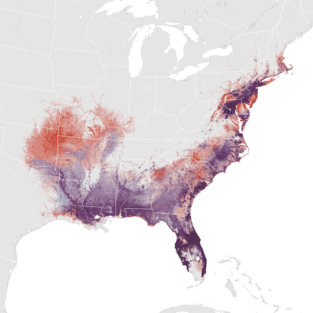 Abundance Map