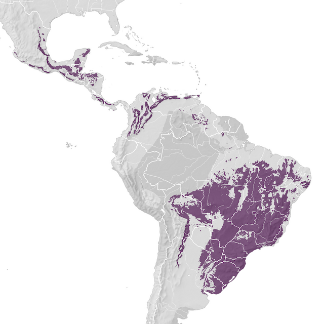 Mappa di distribuzione