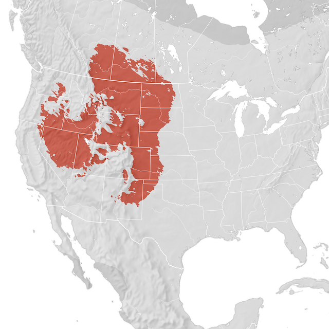 Mapa de rango