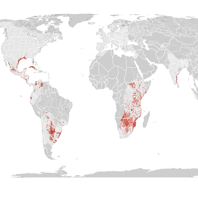 Abundance Map