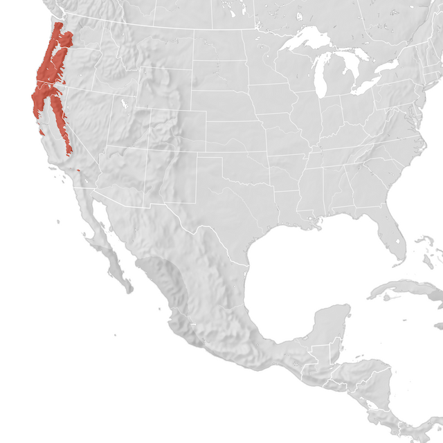 Mapa de distribuição