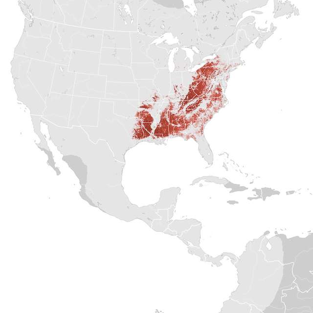 Mapa de abundâcia