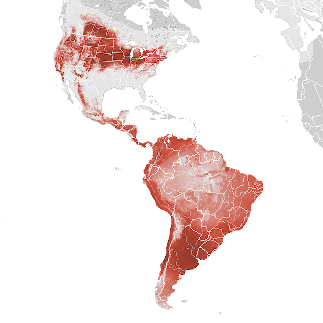 Abundance Map