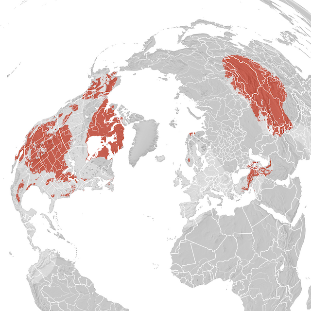 Mapa rozšíření