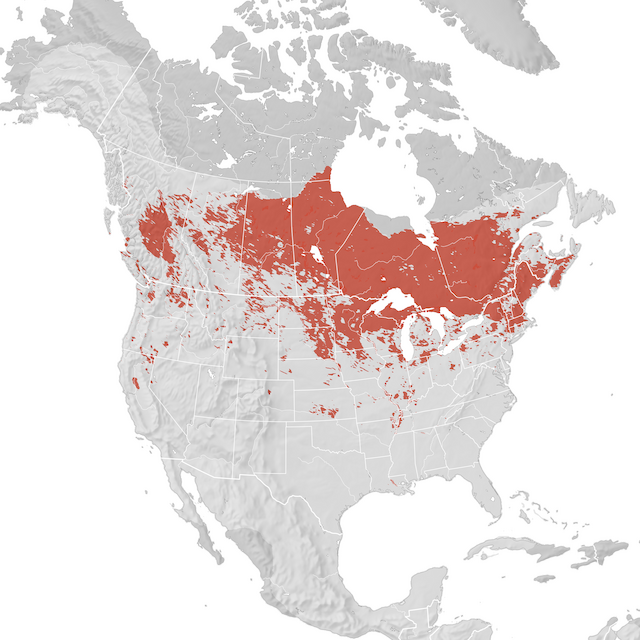 Carte de distribution