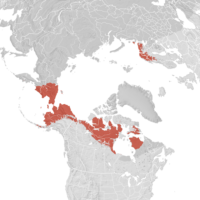 Mapa de Distribuição