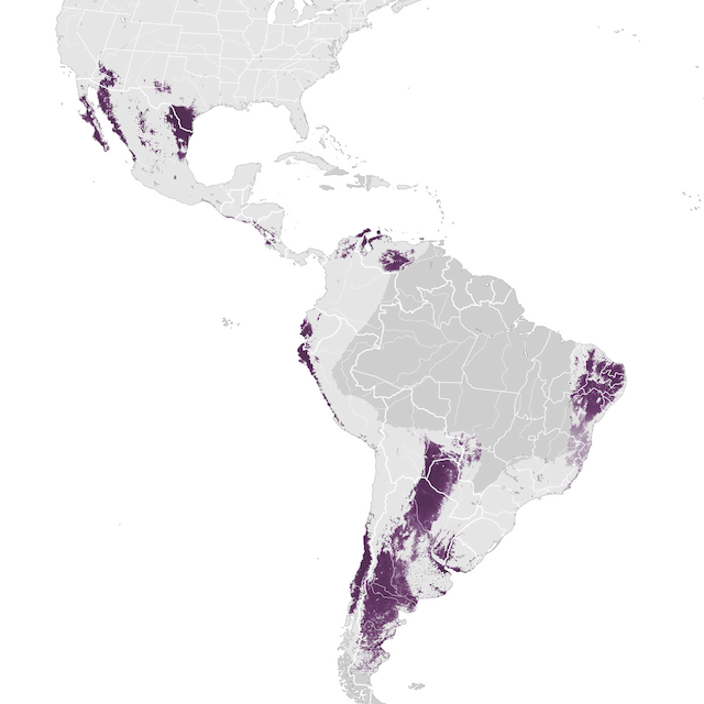 Mapa de abundancia