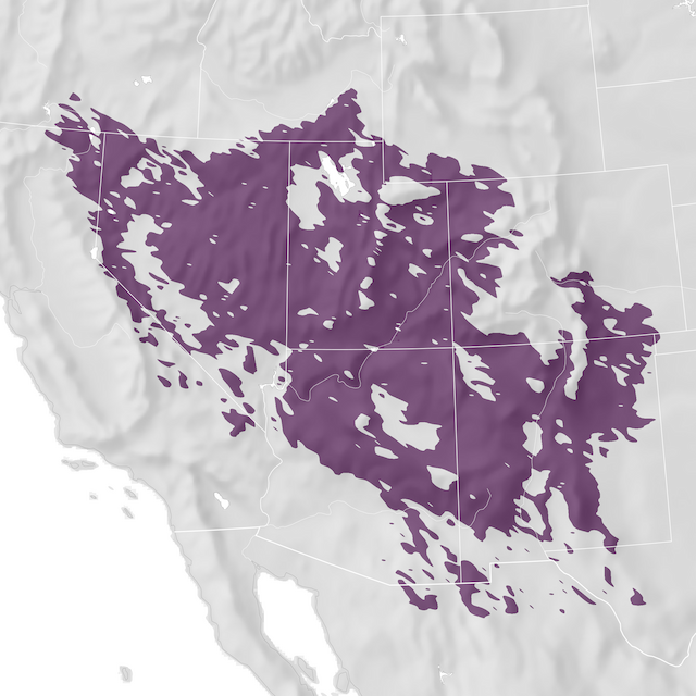 Mapa de rango