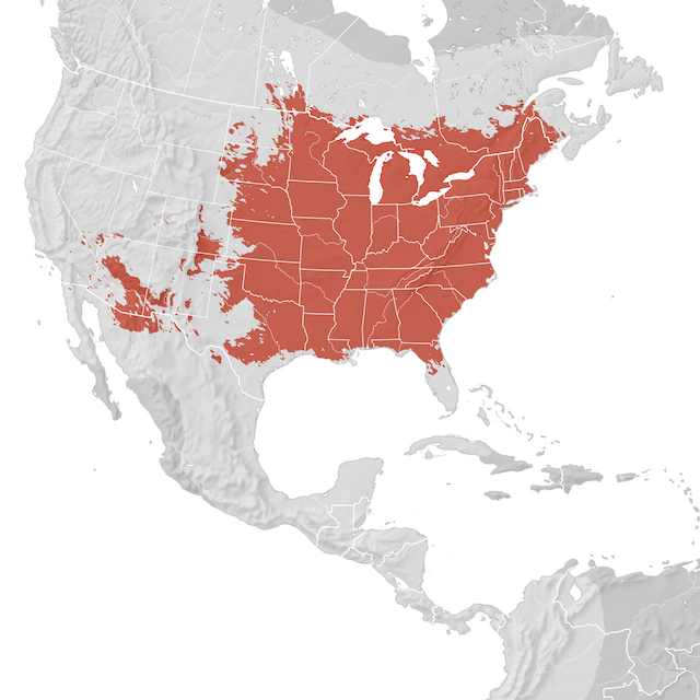 Mapa de Distribuição